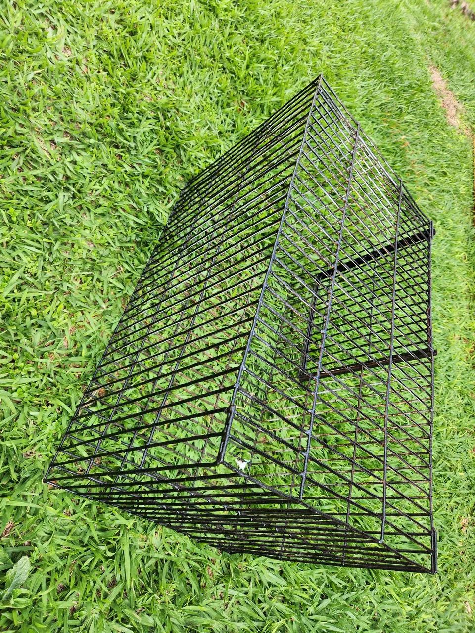 Gaiola Grande De Ferro - Foto 4