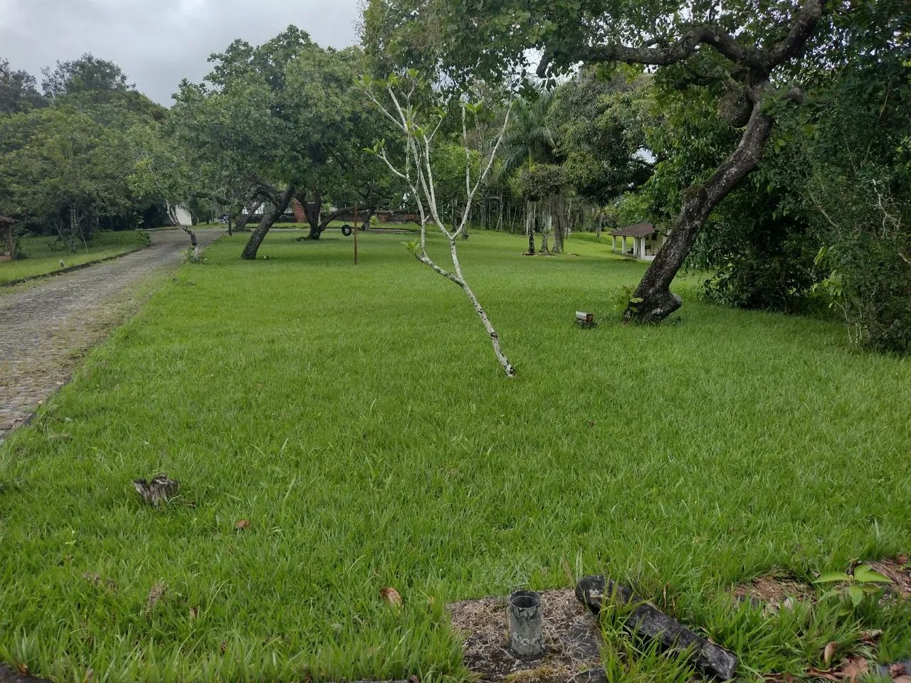 vende-se belíssima propriedade em aldeia!!!! também alugamos, podemos também alugar!. - Foto 2
