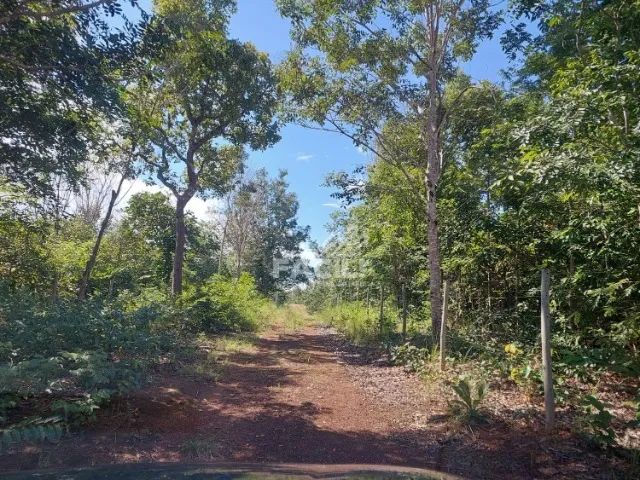 Vende-se Terreno de 44 mil² Próximo da Embrapa - Foto 4