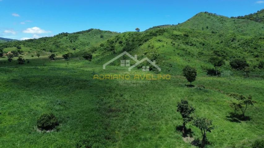 Fazenda 212,96ha - Malacacheta/MG - Foto 2
