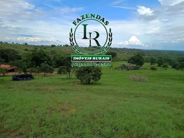 Fazenda 25 Alqueires  ( 121 hectares) Próximo a Palmas
