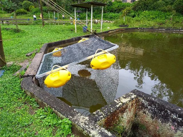 Gaiola em inox para peixes, piscicultura 2 m x 2 m x 1,5 m