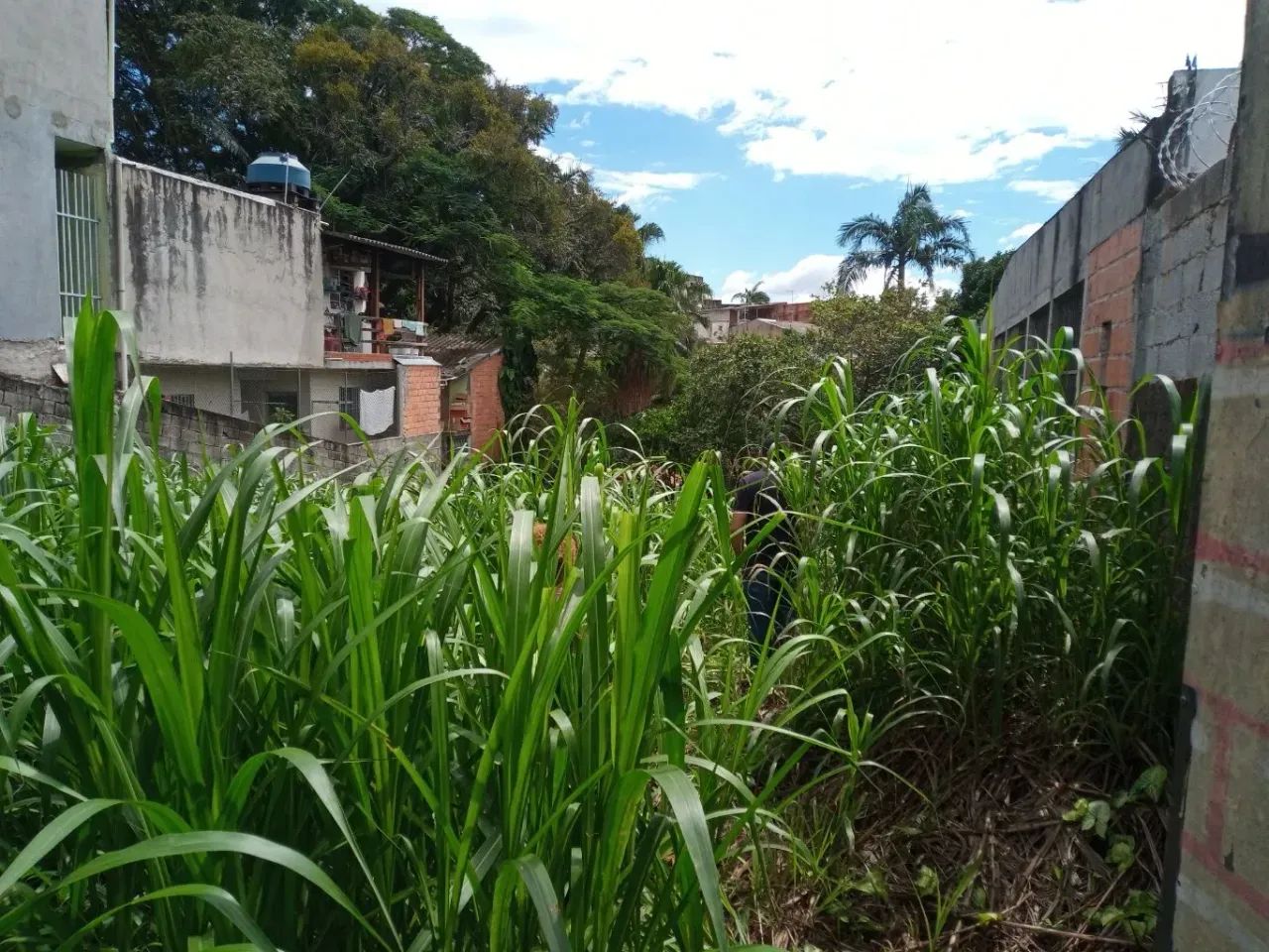 Terreno Comercial 361 Metros Próximo a Faculdade Unasp - Foto 2