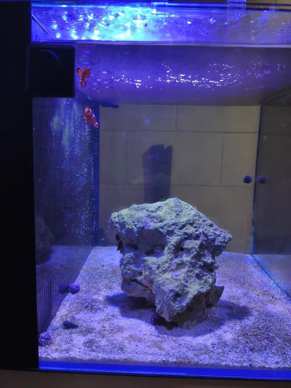 Aquário 72L ocean Tech - Foto 4