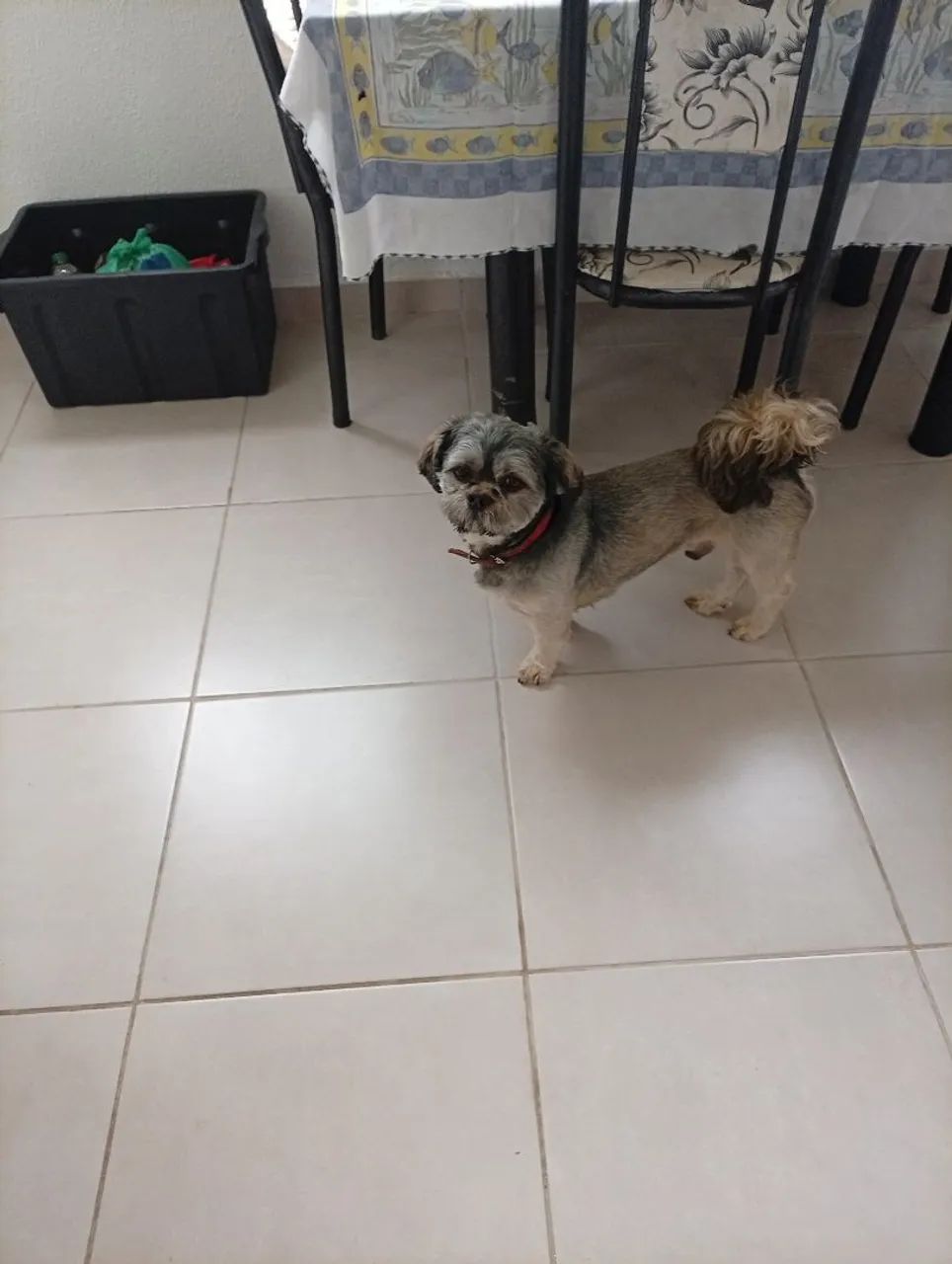 Doação  - Foto 4