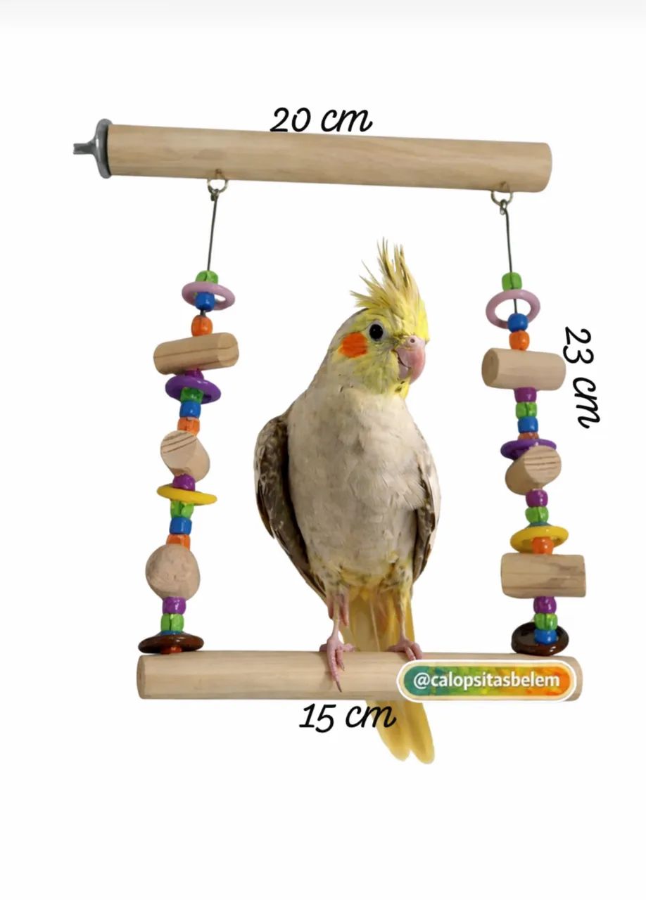 Poleiro com balanço para aves