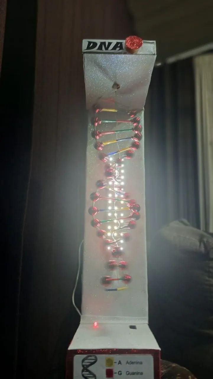 Maquete de DNA  - Foto 3