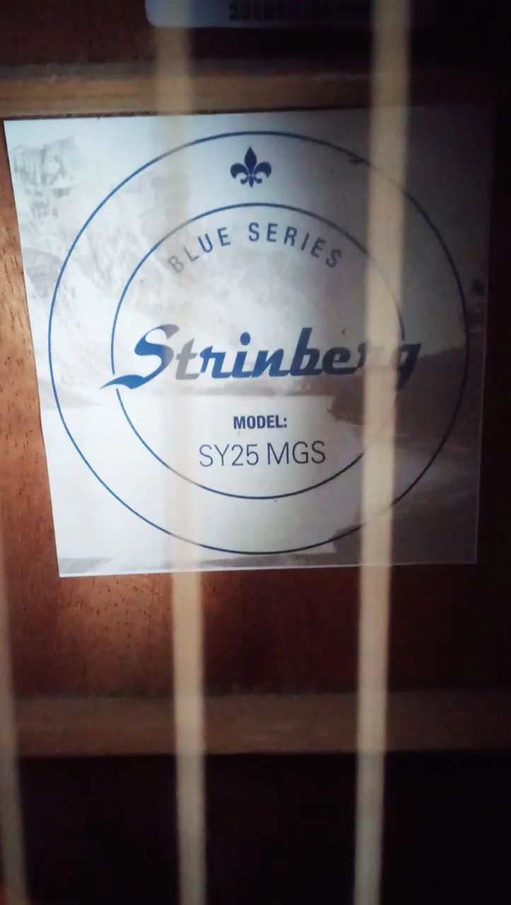 Violão Steinberg SY25 MGS - Foto 4