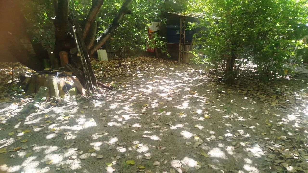 Terreno á venda Henrique Jorge - Foto 4