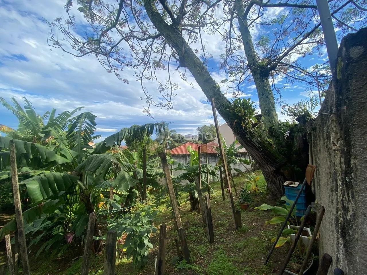Terreno de 329m² no bairro Bom Abrigo - Foto 2