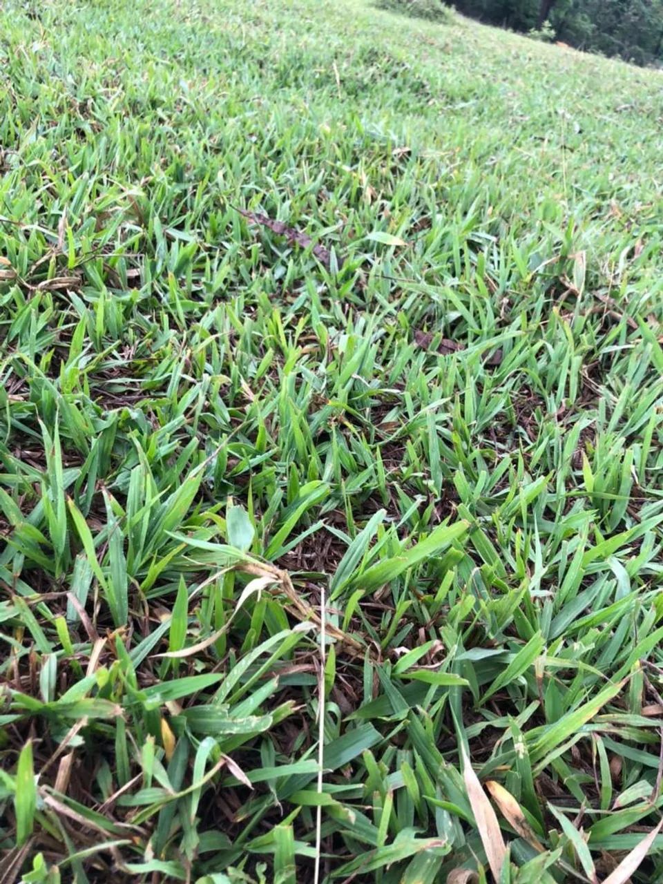 ,?QUALIDADES DE PREÇO BAIXO E AQUI!!!? - Foto 4