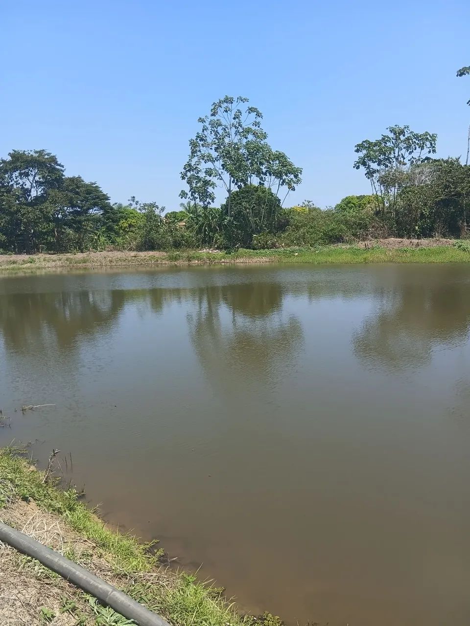 Vendo uma chácara com 6 e quitarem de terra  já formado - Foto 5