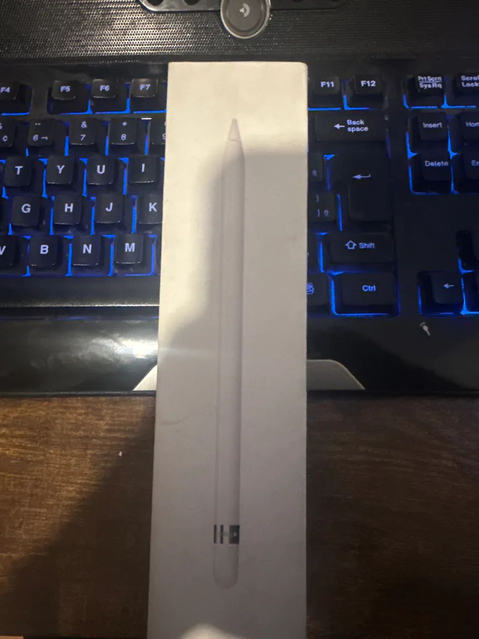 APPLE PENCIL 1º GERAÇÃO 