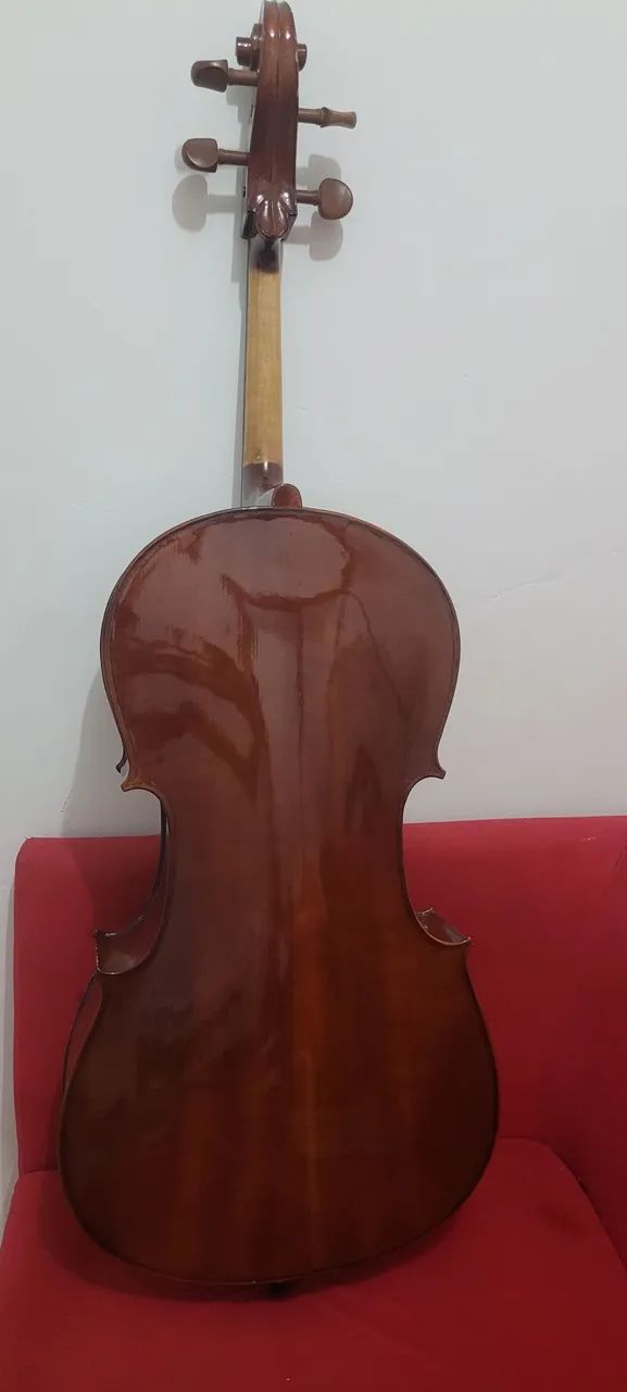 Vende-Se Violoncello Eagle CE200 - Foto 3