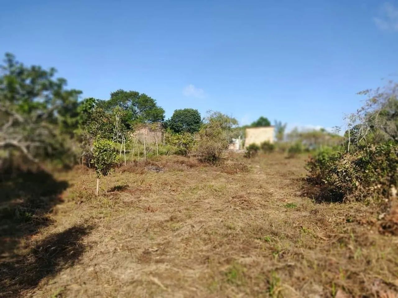 Foto - Camaçari - Nova Vitória