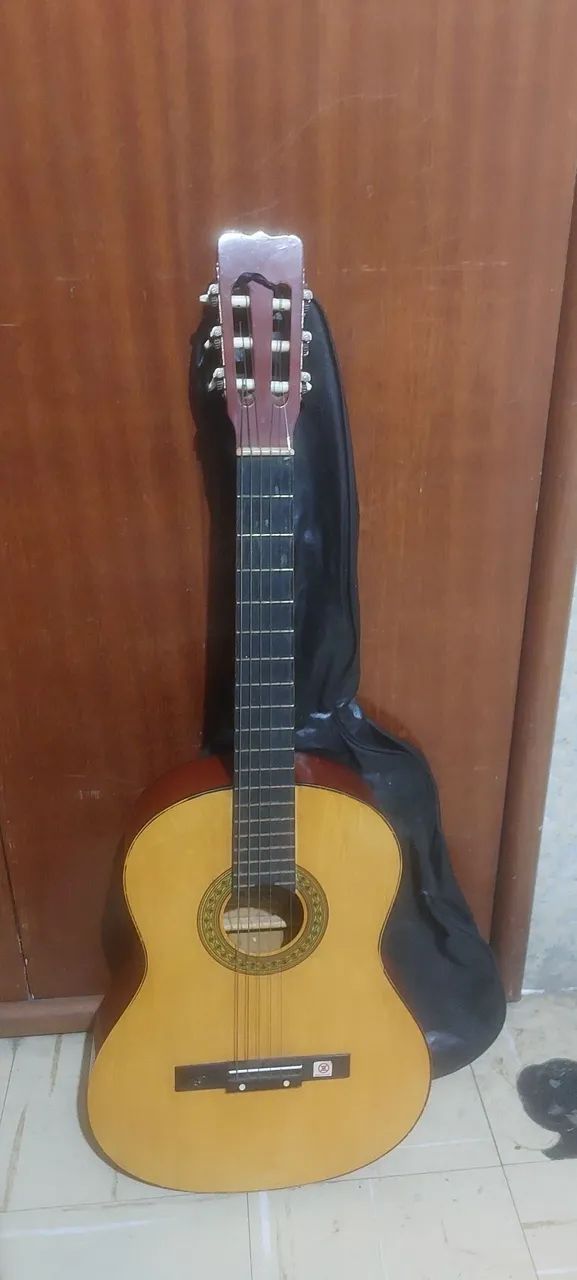 Violão