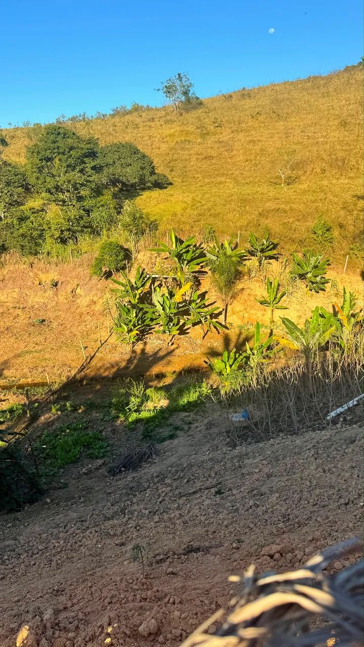 Vende-se Chácara  - Foto 5
