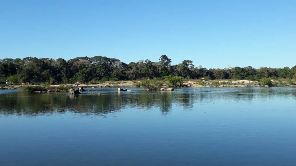 fazenda  - Foto 5