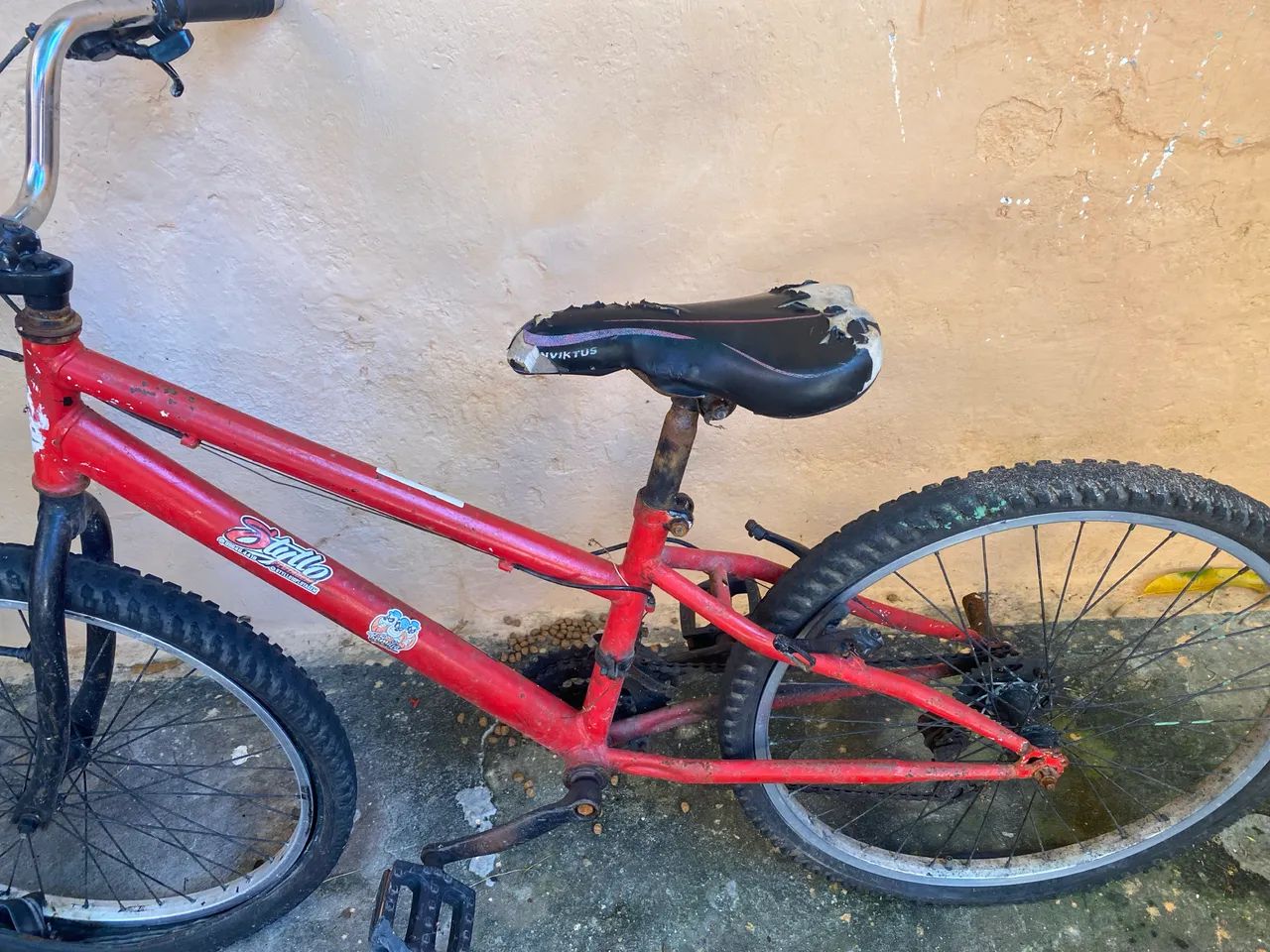 Bicicleta  - Foto 2