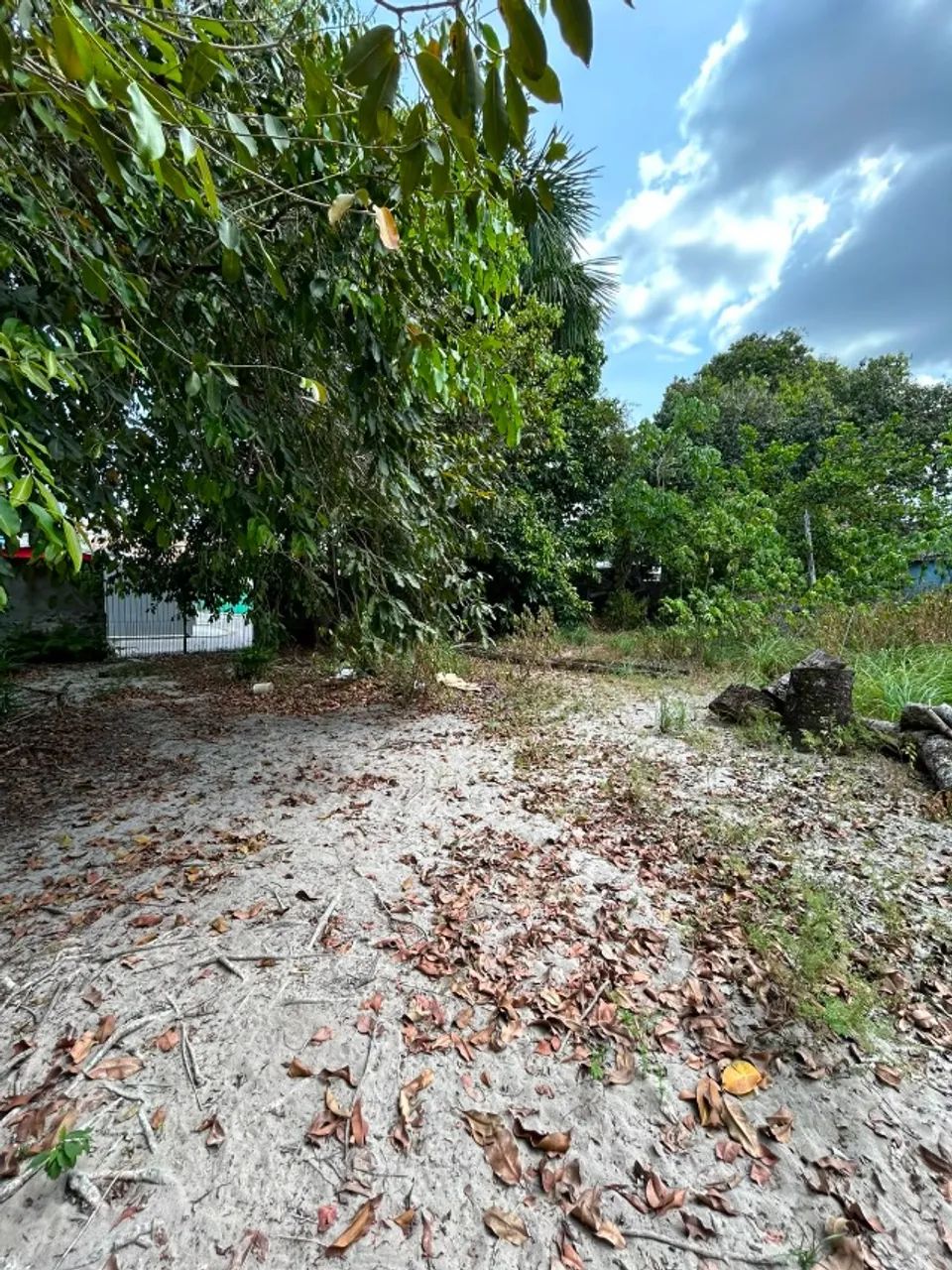 TERRENO NO RIACHO DOCE DE 8.000m² - Foto 2