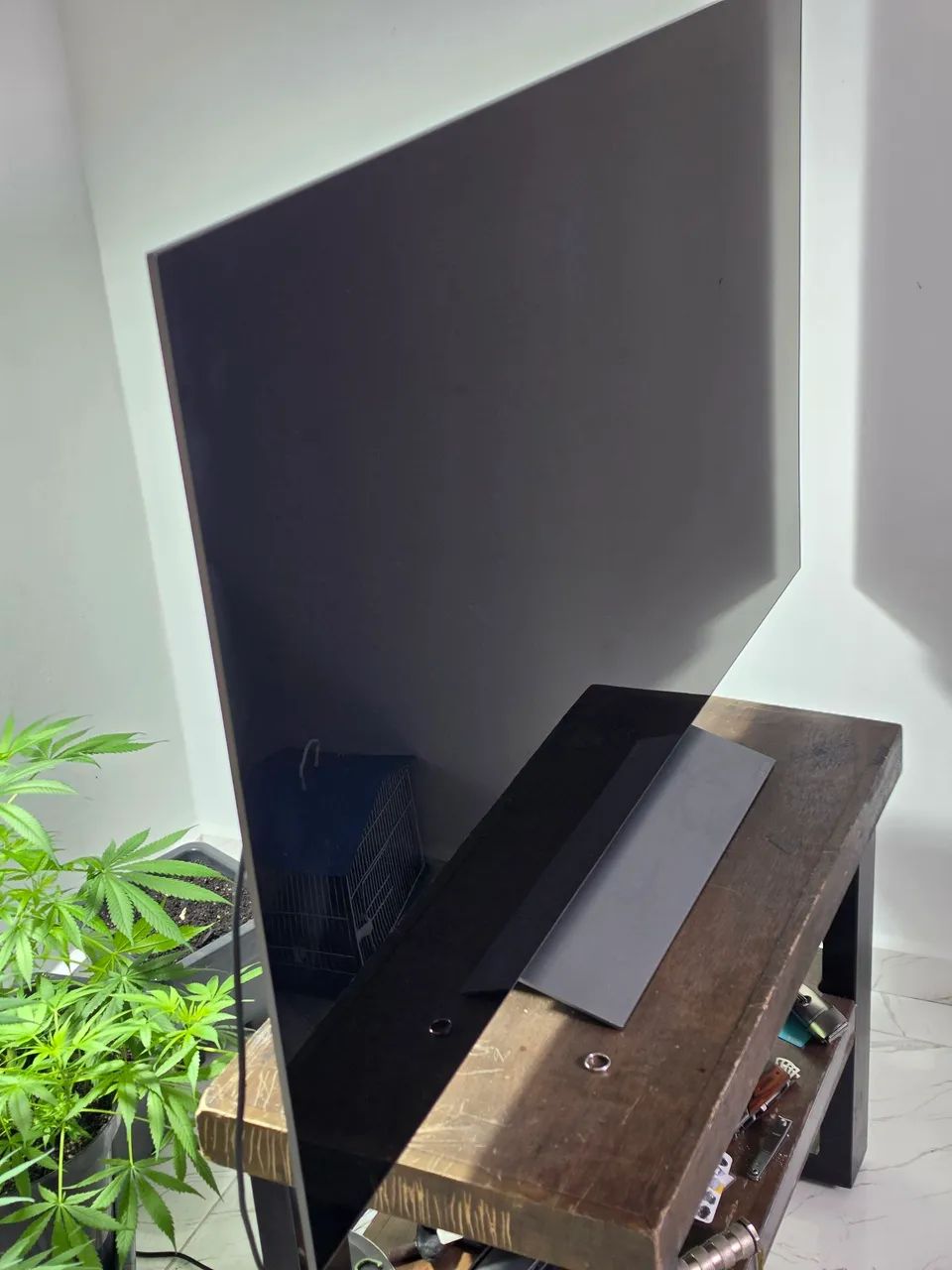 TV LG OLED C3