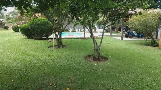Excelente Granja em Bonfim pertinho da lagoa - Foto 4