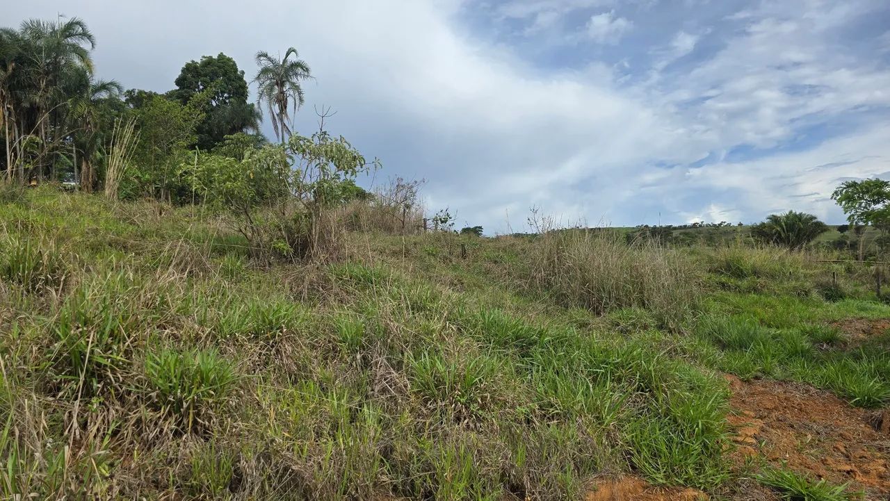 Chácara às Margens da BR 060 - Foto 4
