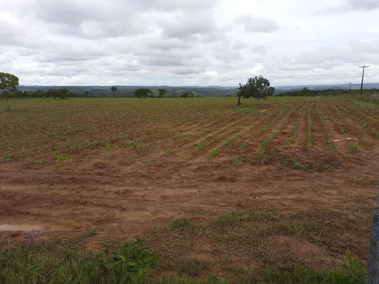 CHÁCARA DE 2 HECTARES ? ESCRITURADA  - Foto 3