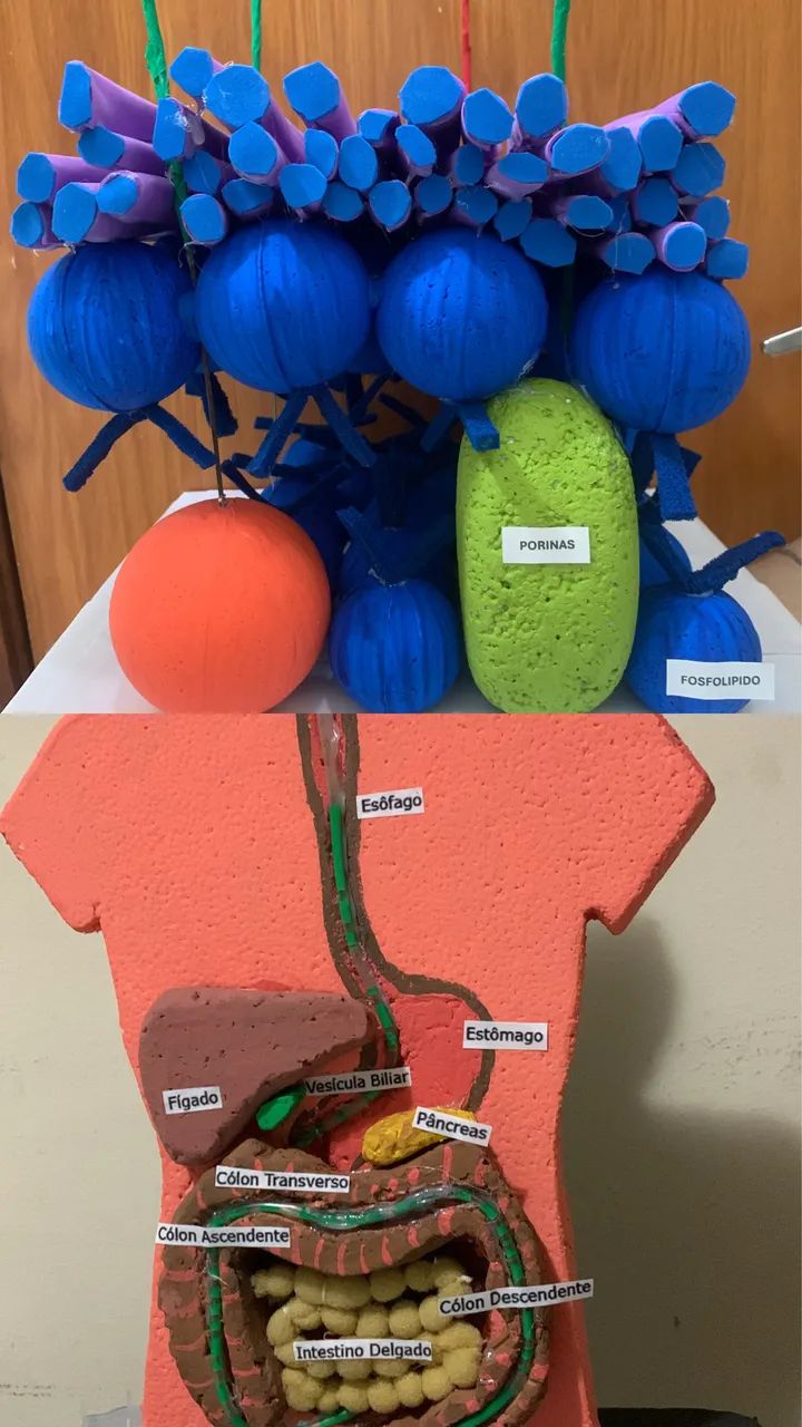 FAÇO MAQUETE ESCOLAR & TRABALHOS ESCOLARES - Foto 3
