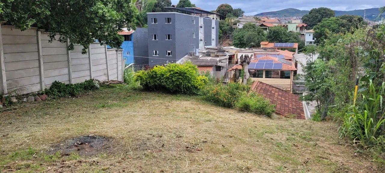 Limpeza de lotes, capina e roçagem - Foto 4