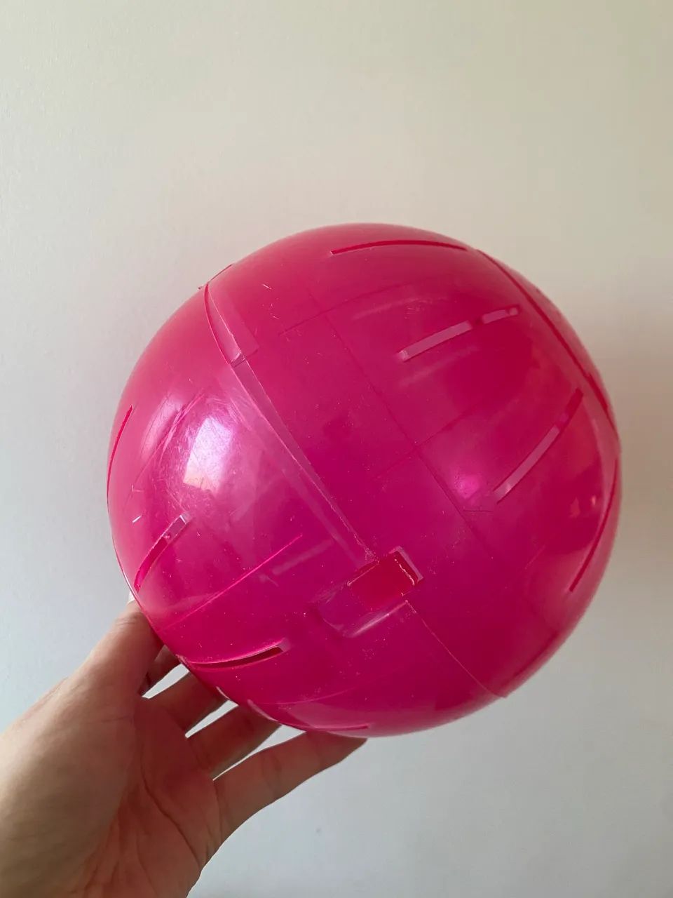 Bolinha hamster 