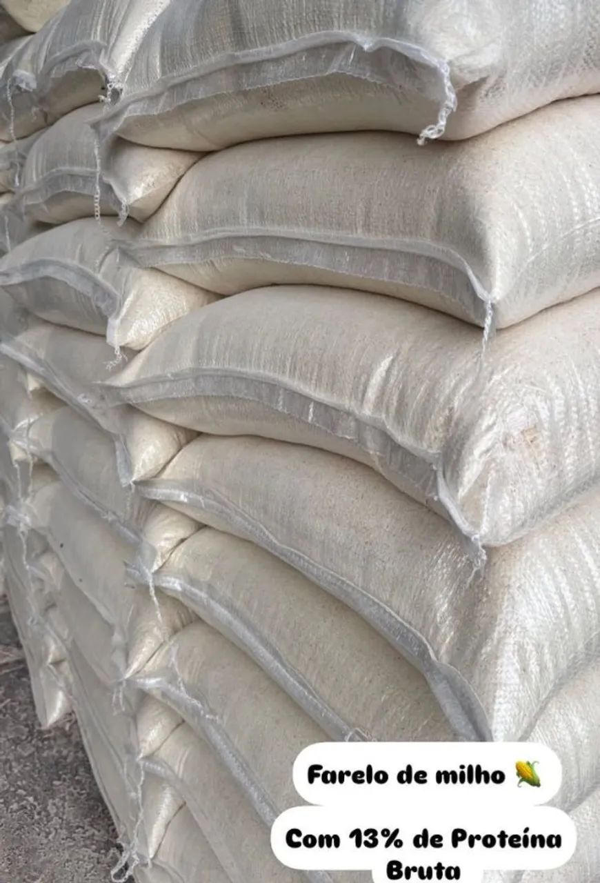 Milho Padrão em sacas de 50 kg e 60 kg direto da Fazenda sem atravessadores - Foto 5