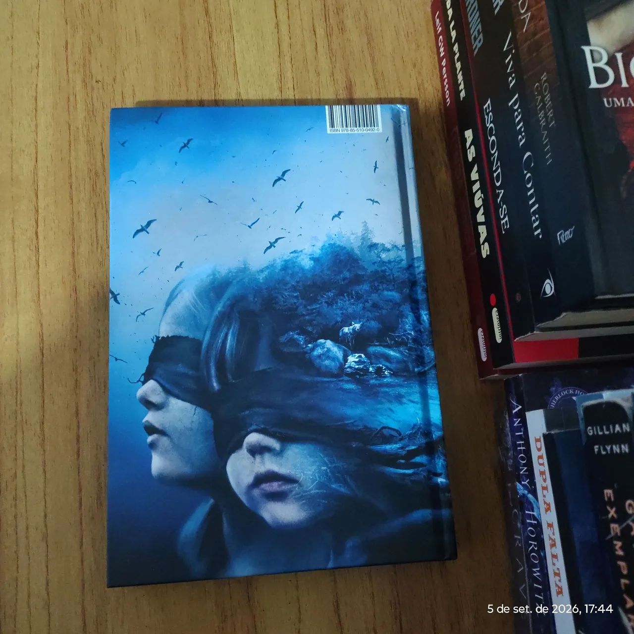 Caixa de Pássaros - Josh Malerman - Foto 2