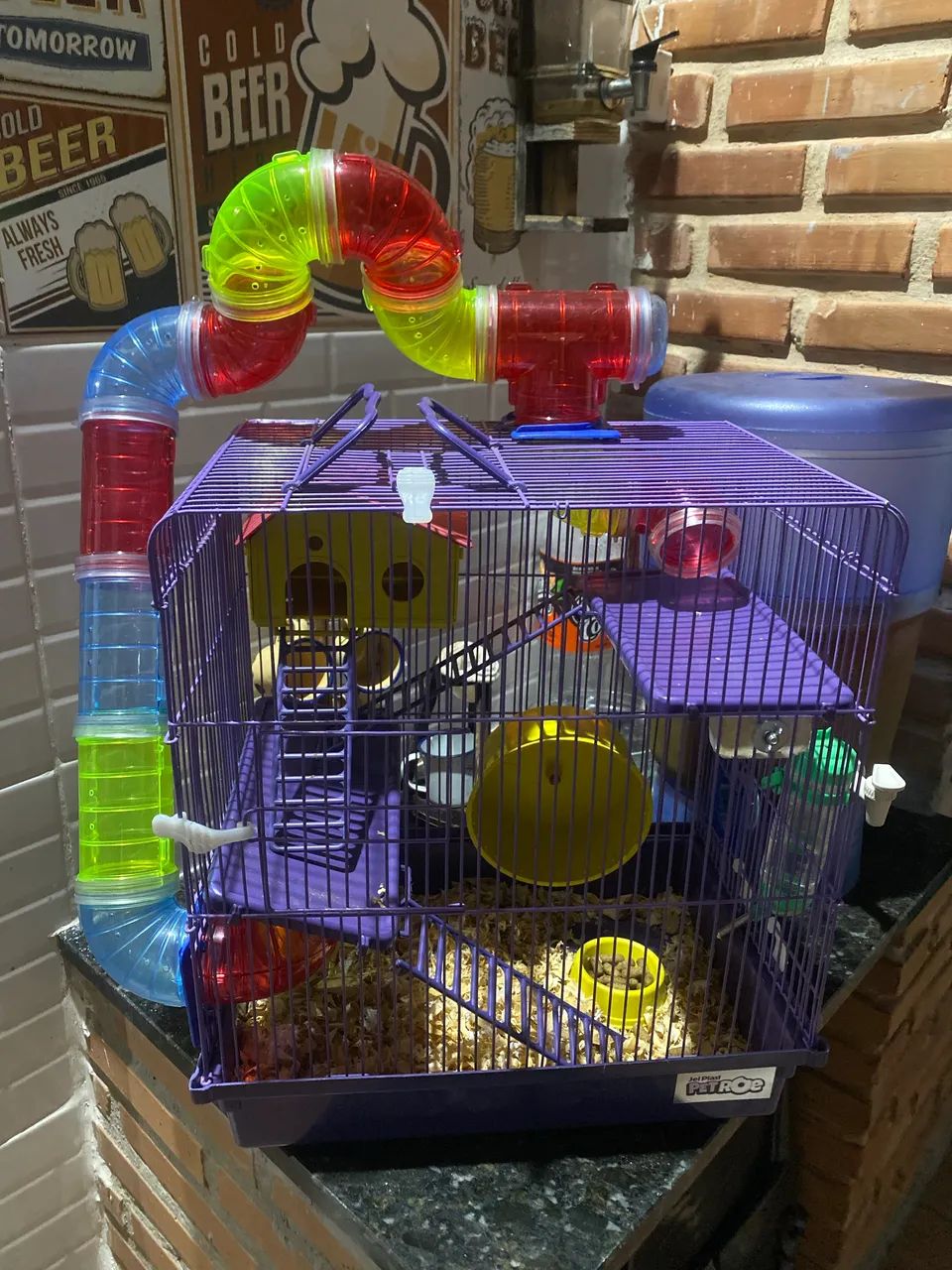 Gaiola Hamster435653731932579842