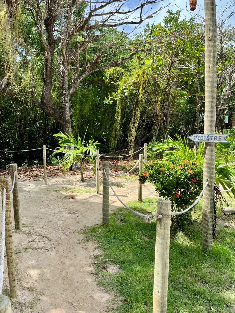 Terreno em Ipioca - Maceió, Alagoas - Foto 5