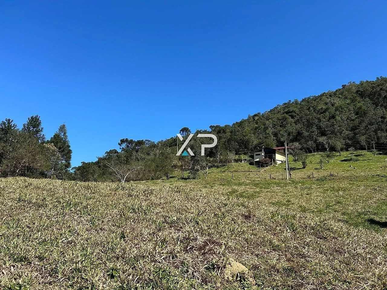 Sítio de 3 hectares em Anitápolis com escritura - Foto 3