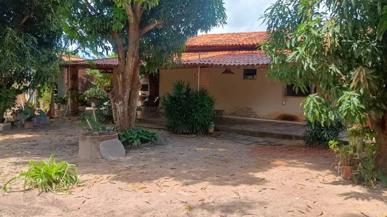 Sítio no povoado cacimba velha - Foto 2