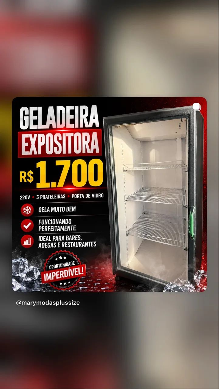 Freezer Expisitora Cerveja semi nova
