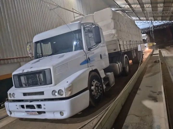 Cavalo e carreta  - Foto 4