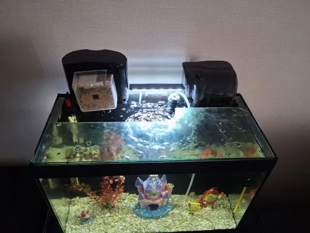 Aquario Completo (30 Litros) - Foto 2