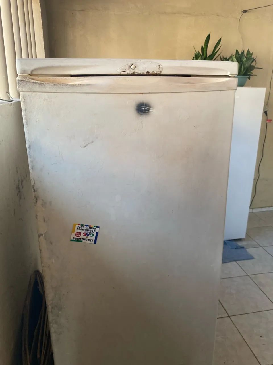 Freezer Electrolux
