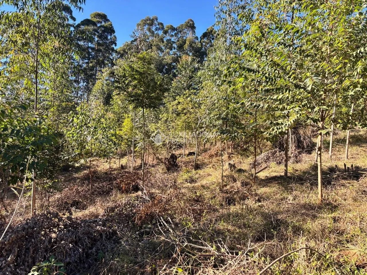 Sítio rural com 2 hectares e vista privilegiada para a Lagoa de Imaruí - Foto 3