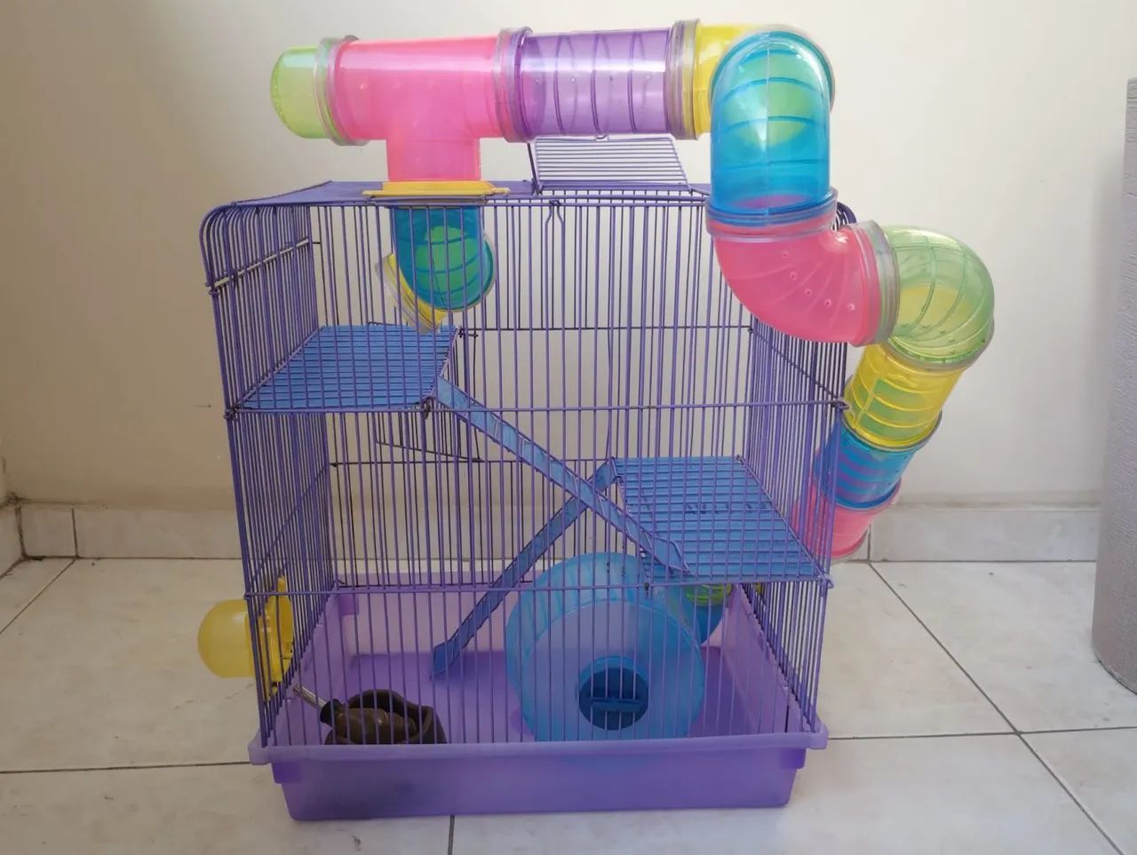 Kit hamster  - Foto 3