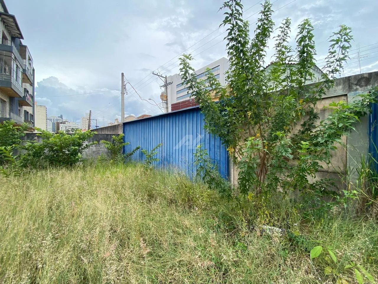 terreno - Centro - Campinas - Foto 5