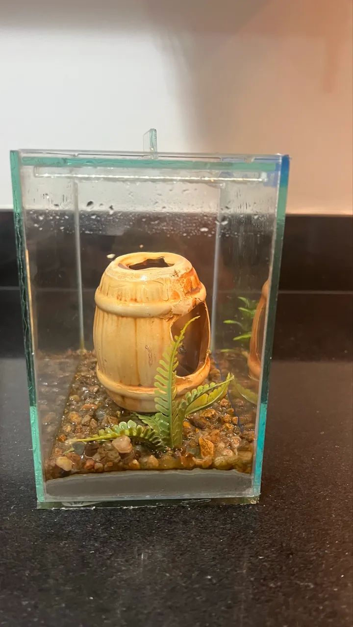 Aquário para peixe - Foto 2