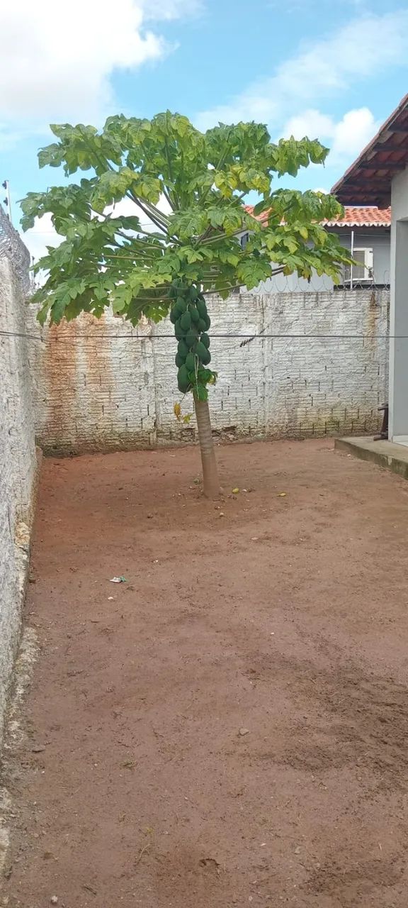 Repasso casa em São Gonçalo do Amarante  - Foto 2