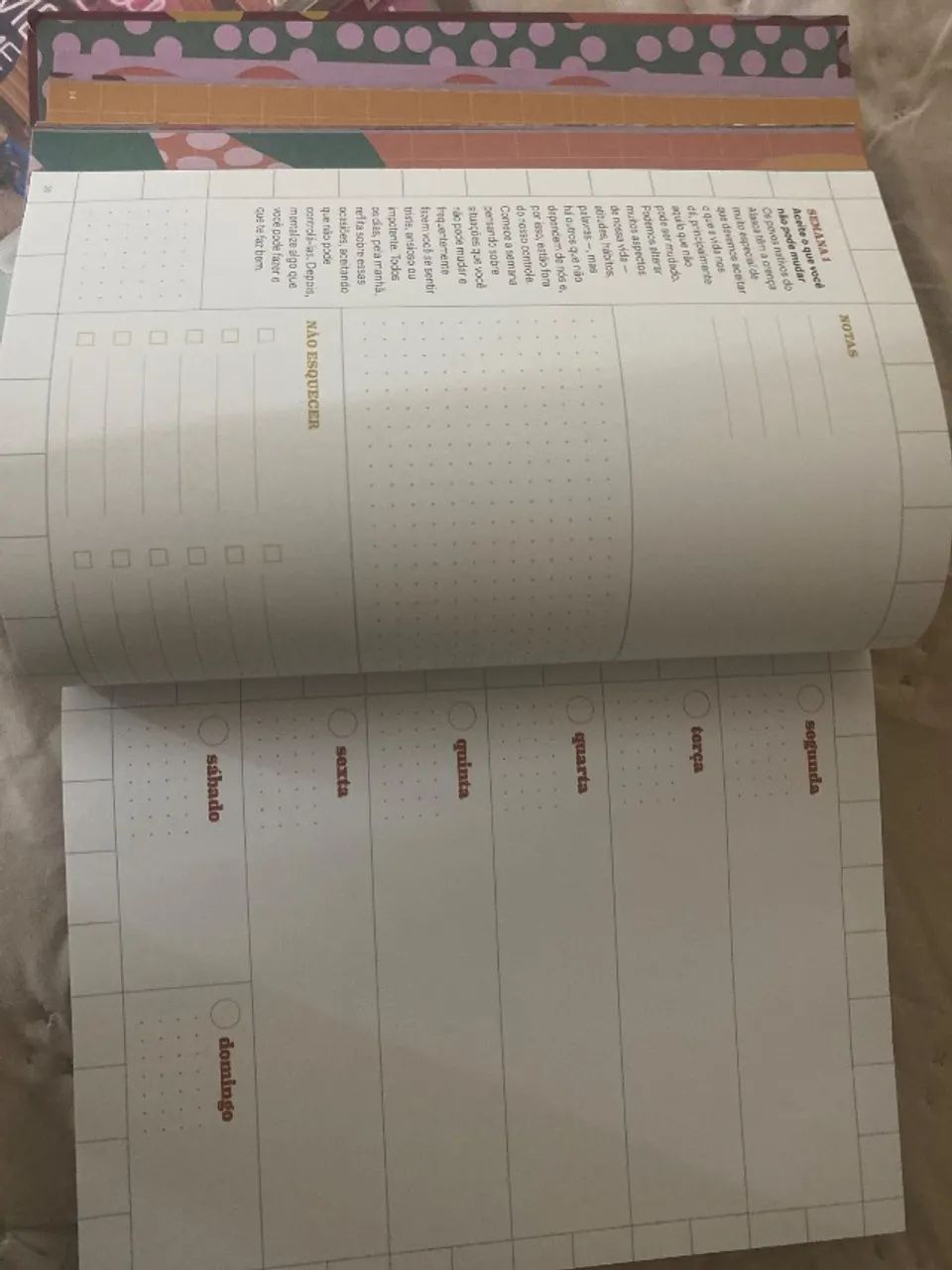 Planner  - Foto 5
