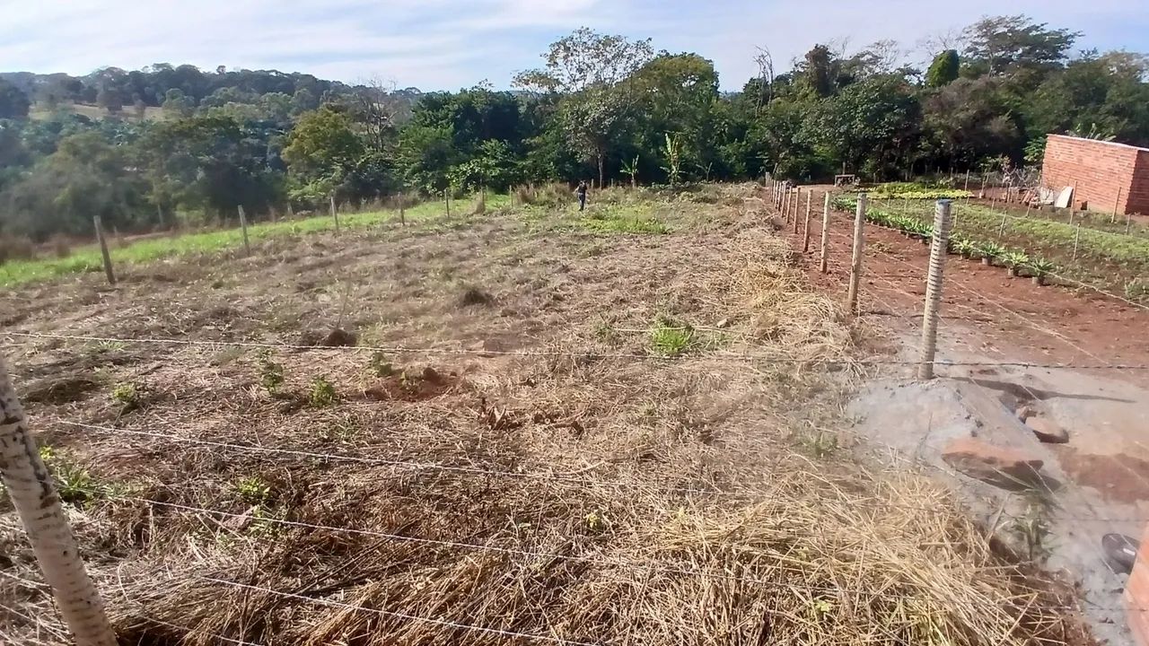 LOTE A 2KM DE NERÓPOLIS  - Foto 4