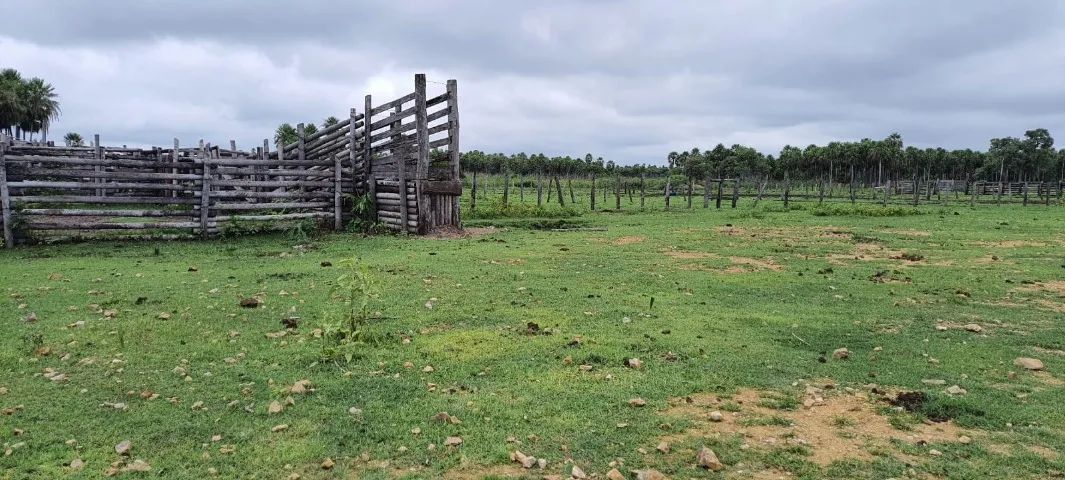 Fazenda 8.700 HA - Pantanal Nabileque - Foto 3