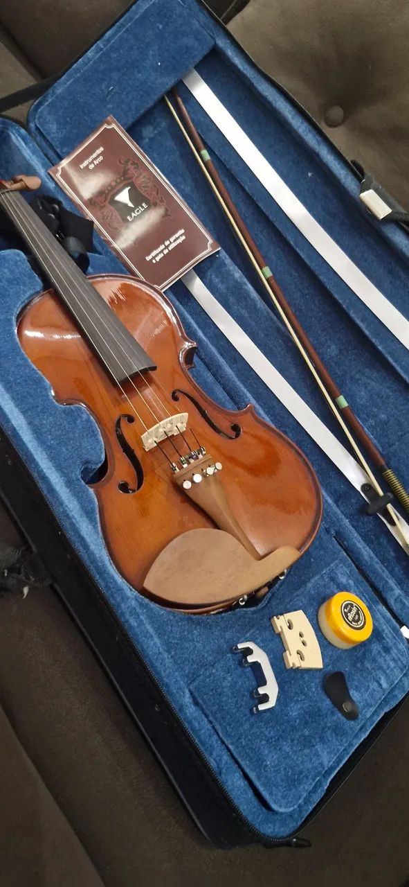 Violino em perfeito estado
